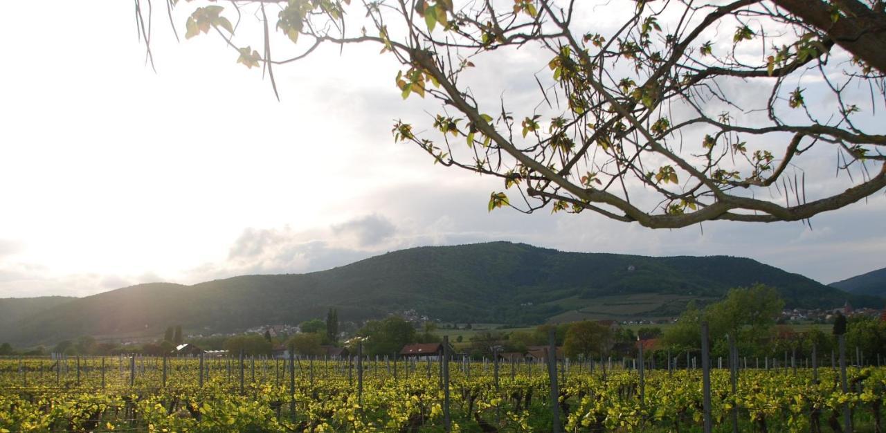 Gartenhaus Am Weinberg Bochingen Екстер'єр фото