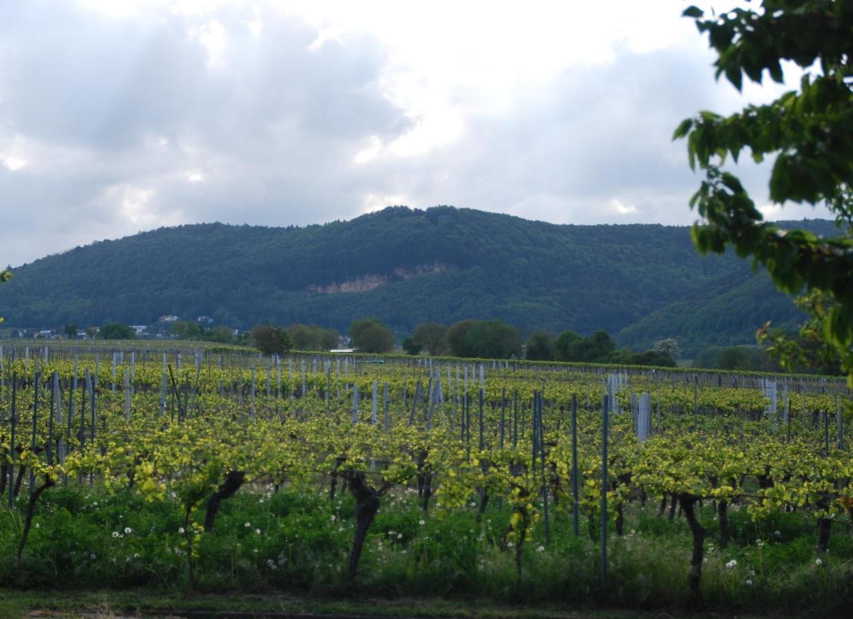 Gartenhaus Am Weinberg Bochingen Екстер'єр фото
