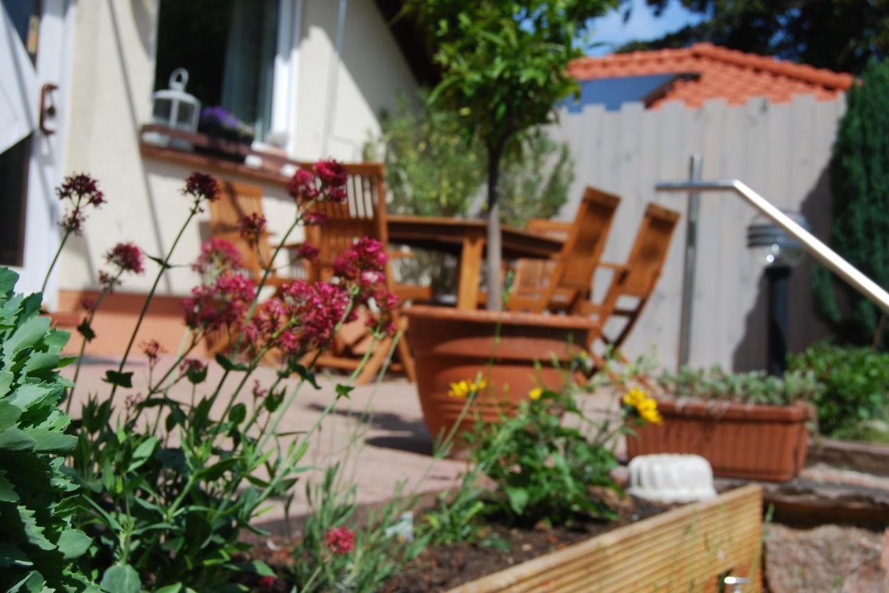 Gartenhaus Am Weinberg Bochingen Екстер'єр фото