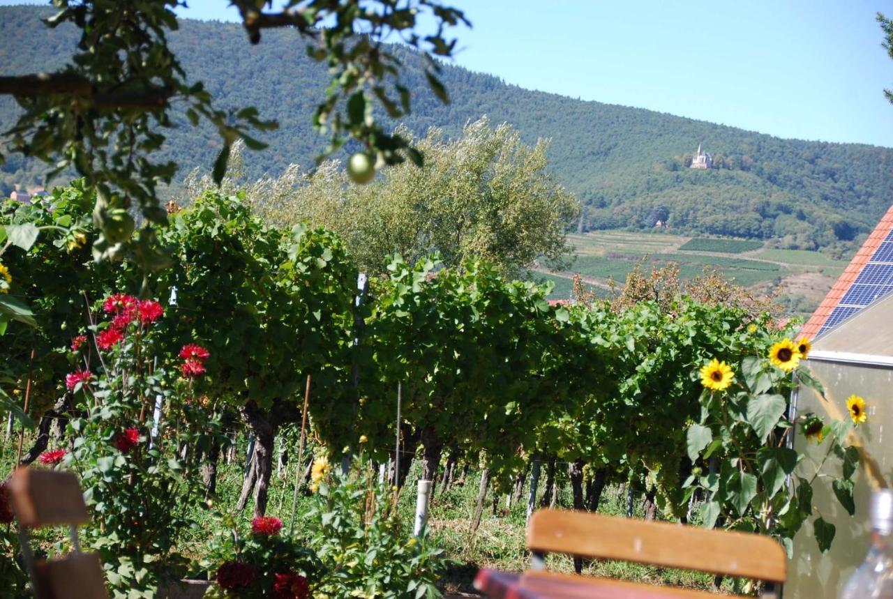 Gartenhaus Am Weinberg Bochingen Екстер'єр фото